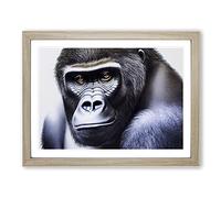 A Mysterious Gorilla H1022 Framed Print for Living Room Bedroom Home Office Décor, Wall Art Picture Ready to Hang, Oak A2 Frame (64 x 46 cm)
