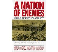 A Nation of Enemies: Chile Under Pinochet (Norton Paperback)