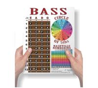 A New Song Music Laminated 4 String Bass Fretboard Notes Chart Nashville Number System & Circle of 5ths Easy Instructional Poster for Beginner for Notebook - 8.5 x 11