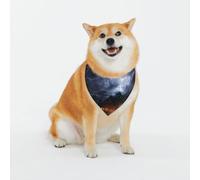A Night of Lightning and Thunder Pet Scarf for Dogs - Triangle Drool Scarf Suitable for Small, Medium, and Large Dogs, Black, Dog Bandanas