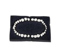 A P I Typodont Teeth Set of 32 with Screw - B561