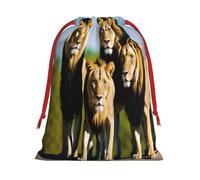 A pack of lions -Print Soft Drawstring Gifts Bags Pouches For Wedding Favors & Party Events, Bulk Storage (Multi-Use) S Size