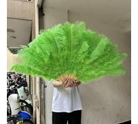 A Pair Large White Natural Fluffy Ostrich Feather Fans 1/2Pcs 60/90cm 75/130cm Hand Held Fan Party Stage Show Dance Props Fan- Green-100CM1PCS Right Hand