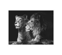 A pair of lions，Puzzle 1000 Piece Jigsaw Puzzles for Adults, Classic Puzzle Difficult Puzzle for Kids Teenagers Educational Game Toys Gift for Home Travel（38x26cm）-A16