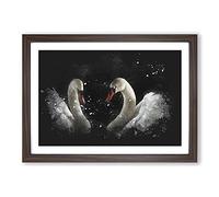 A Pair of White Swans Paint Splash Framed Print | A2 Walnut Framed Wall Art | Ready to Hang | Modern Animal Picture | Living Room Bedroom Lounge Office