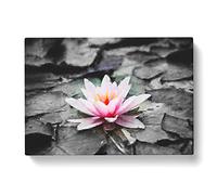 A Pale Pink Water Lily Painting Modern Art Canvas Wall Art Print Ready to Hang, Framed Picture for Living Room Bedroom Home Office Décor, 50x35 cm (20x14 Inch)