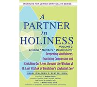 A Partner in Holiness Vol 2: Leviticus-Numbers-Deuteronomy (Institute for Jewish Spirituality)