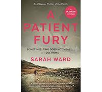 A Patient Fury (DC Childs mystery)