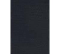 A Patristic Greek Lexicon – Oxford University Press