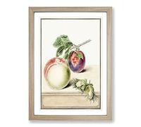 A Peach & Plum by E.G. Van de Kasteele Framed Print | A2 Oak Framed Wall Art | Ready to Hang | Modern Nature Picture | Living Room Bedroom Lounge Office