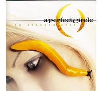 A Perfect Circle - Thirteenth Step