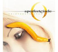 A Perfect Circle Thirteenth Step (Vinyl) 12" Album (Gatefold Cover)