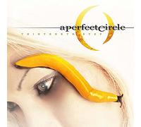 A Perfect Circle Thirteenth Step (Vinyl) 12" Album (Gatefold Cover)
