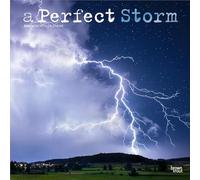 Perfect Storm 2026 Square Flap Foil Calendar