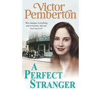 A Perfect Stranger: A gripping saga of love, war and temptation