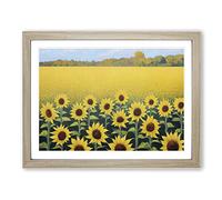 A Phenomenal Sunflower Field Framed Print | A2 Oak Framed Wall Art | Ready to Hang | Modern Floral Picture | Living Room Bedroom Lounge Office