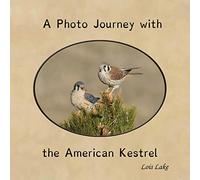 A Photo Journey with the American Kestrel