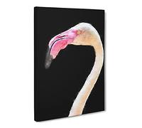 A Pink Flamingo Canvas Print | Gallery Wrapped 30mm Frame Wall Art | 24x16 inches | Ready to Hang | Modern Animals Picture | Living Room Bedroom Lounge Office