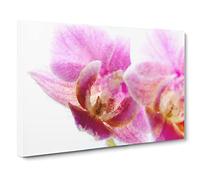 A Pink Orchid Flower Canvas Print | Gallery Wrapped 30mm Frame Wall Art | 24x16 inches | Ready to Hang | Modern Floral Picture | Living Room Bedroom Lounge Office