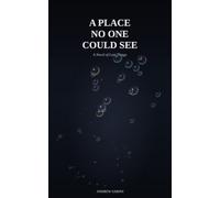 A Place No One Could See: A Novel of Lost Things (Kept and Lost)