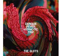 A Place to Bury Stra - Dengue Fever Hypnotic Trip [VINYL]
