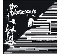 A Place To Bury Strangers / The Telescopes - I wanna be your dog