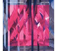 A Place to Bury Strangers - Transfixiation [VINYL]