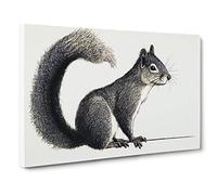 A Pleasant Squirrel Canvas Print | Gallery Wrapped 30mm Frame Wall Art | 30x20 inches | Ready to Hang | Contemporary Animal Picture | Living Room Bedroom Lounge Office