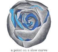 A Point On a Slow Curve