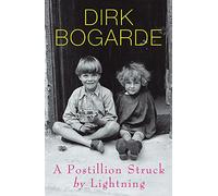 A Postillion Struck by Lightning