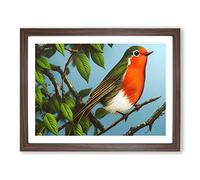 A Pretty Robin Bird Framed Wall Art Print A2 Walnut