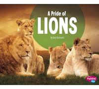 A Pride of Lions (Animal Groups)