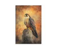 A Proud Falcon Perched Against A Hazy Copper Sky, Feathers Blending Into The Soft Fading Light. Wall Art Mural Modern Decoration Hanging Art Poster 08x12inch(20x30cm)