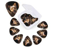 A puppy sitting in a tree hole guitar picks design with custom organizer storage box guitar accessories ukulele for acoustic guitar bass gift
