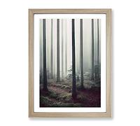 A Quiet Forest Framed Print for Living Room Bedroom Home Office Décor, Wall Art Picture Ready to Hang, Oak A3 Frame (34 x 46 cm)