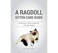 A Ragdoll Kitten Care Guide: Bringing Your Ragdoll Kitten Home