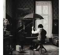 A Rainy Day In Vienna