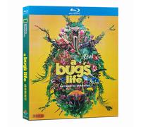 A Real Bug's Life Season 1 (2024) Blu-ray 1080P BD