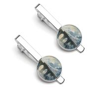 A Red Train Is Driving on The Stone Arch Bridge Men's Tie Clips Necktie Bar Pinch Clip Set of 2 Formal Business Wedding Accessories