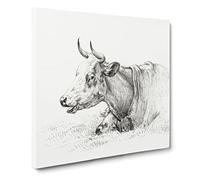 A Resting Cow by Jean Bernard Canvas Print | Gallery Wrapped 30mm Frame Wall Art | 14x14 inches | Ready to Hang | Modern Animals Picture | Living Room Bedroom Lounge Office