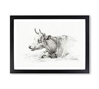 A Resting Cow by Jean Bernard Framed Print | A2 Black Framed Wall Art | Ready to Hang | Modern Animal Picture | Living Room Bedroom Lounge Office