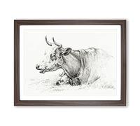 A Resting Cow By Jean Bernard Vintage Framed Print | A3 Walnut Framed Wall Art | Ready to Hang | Classic Animal Picture | Living Room Bedroom Lounge Office