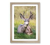 A Resting Deer Painting Framed Print | A2 Oak Framed Wall Art | Ready to Hang | Modern Animal Picture | Living Room Bedroom Lounge Office