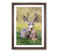 A Resting Deer Painting Framed Print | A2 Walnut Framed Wall Art | Ready to Hang | Modern Animal Picture | Living Room Bedroom Lounge Office