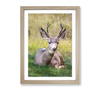 A Resting Deer Painting Modern Framed Print | A3 Oak Framed Wall Art | Ready to Hang | Modern Animal Picture | Living Room Bedroom Lounge Office