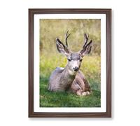 A Resting Deer Painting Modern Framed Print | A3 Walnut Framed Wall Art | Ready to Hang | Modern Animal Picture | Living Room Bedroom Lounge Office
