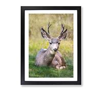 A Resting Deer Painting Modern Framed Print | A4 Black Framed Wall Art | Ready to Hang | Modern Animal Picture | Living Room Bedroom Lounge Office