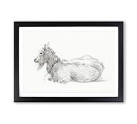 A Resting Goat by Jean Bernard Framed Print | A2 Black Framed Wall Art | Ready to Hang | Modern Animal Picture | Living Room Bedroom Lounge Office