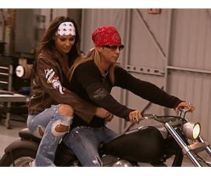 A Ride on the Wild Side