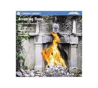 A Roaring Flame